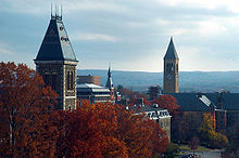 cornell